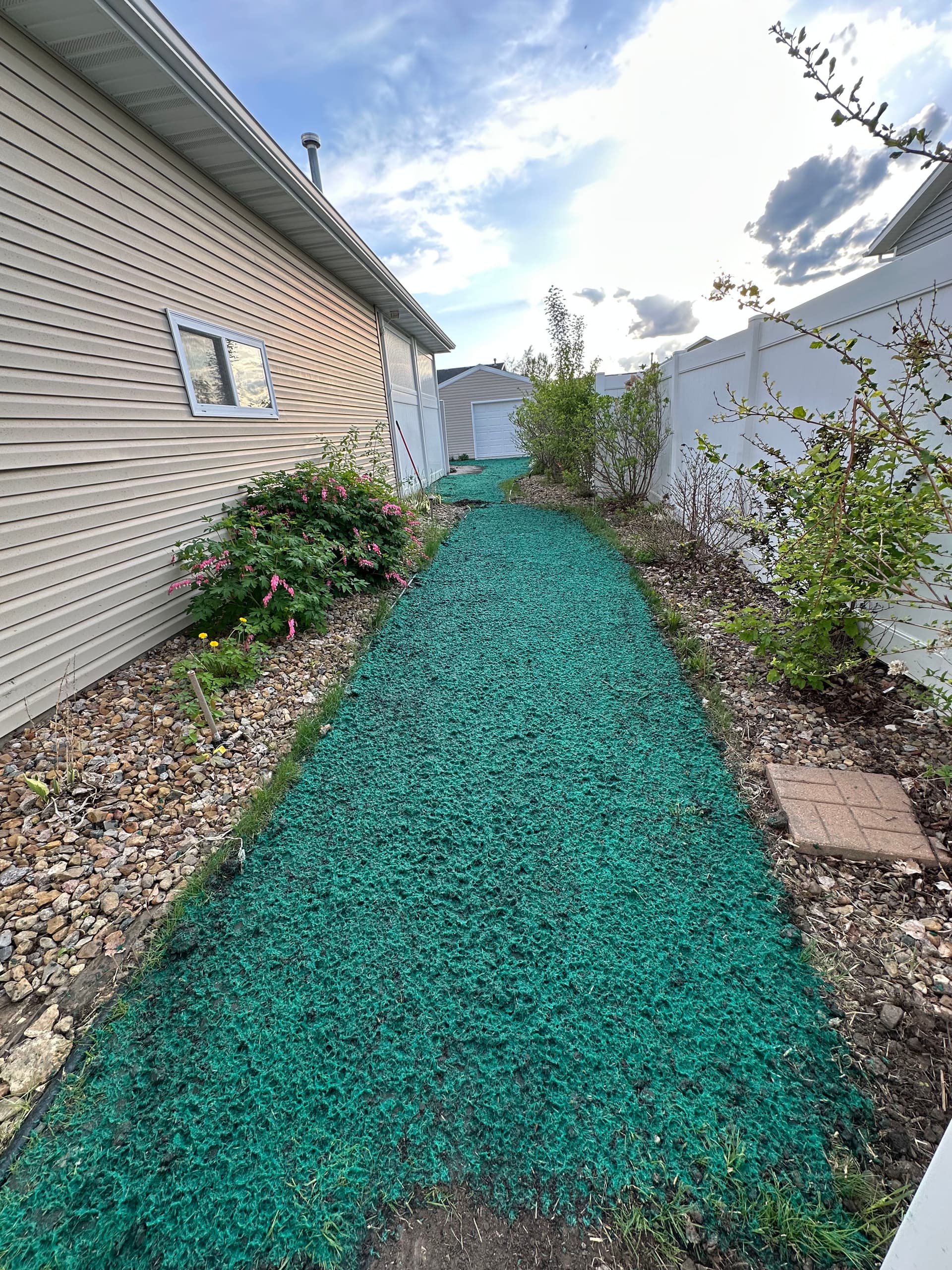 Gallery photos for Lawn Restoration After Walkway and Shed Apron Installation: Image #7