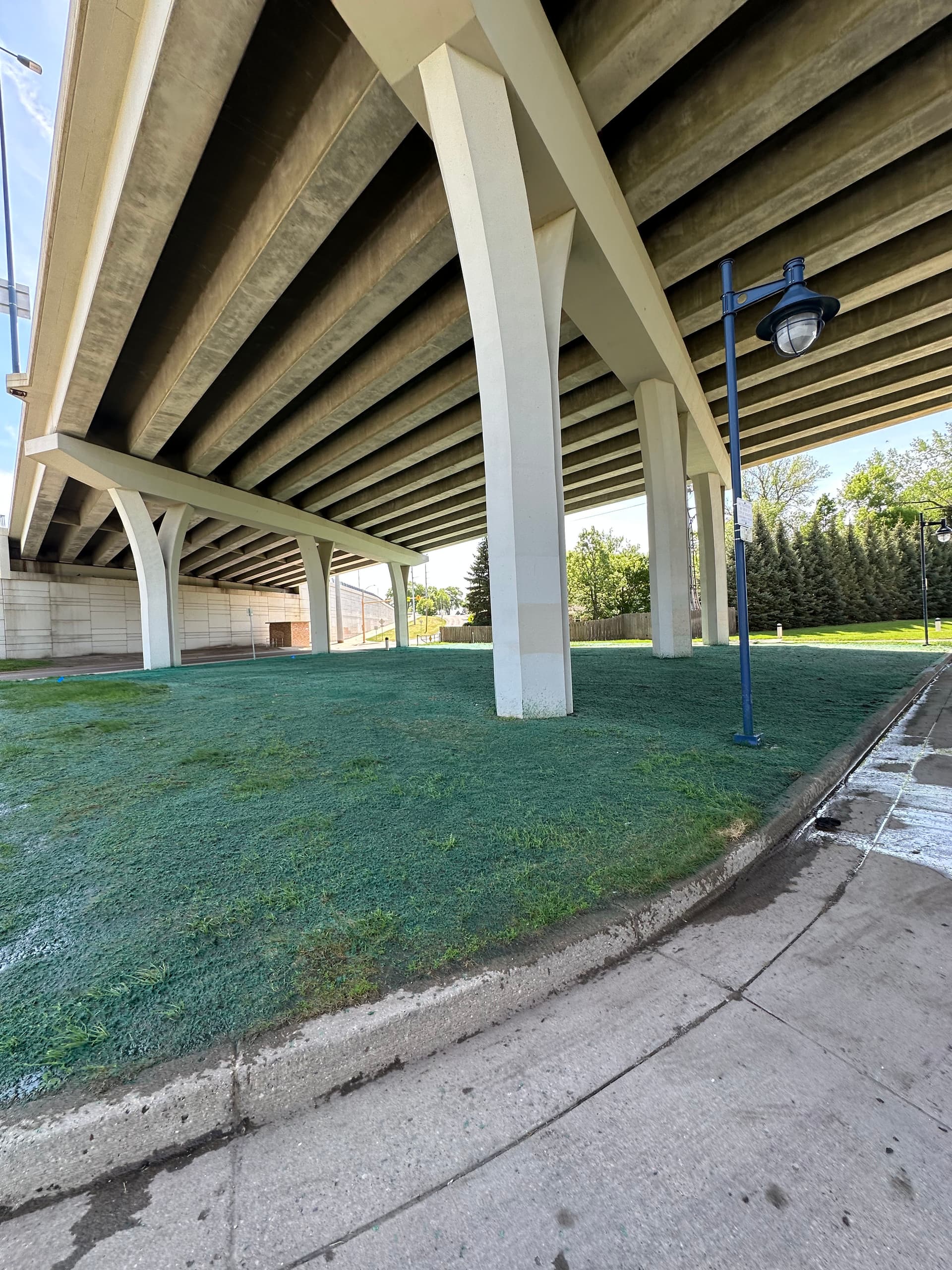 Gallery photos for Hydroseeding Under a Bridge Where Grass Has No Business Growing: Image #1