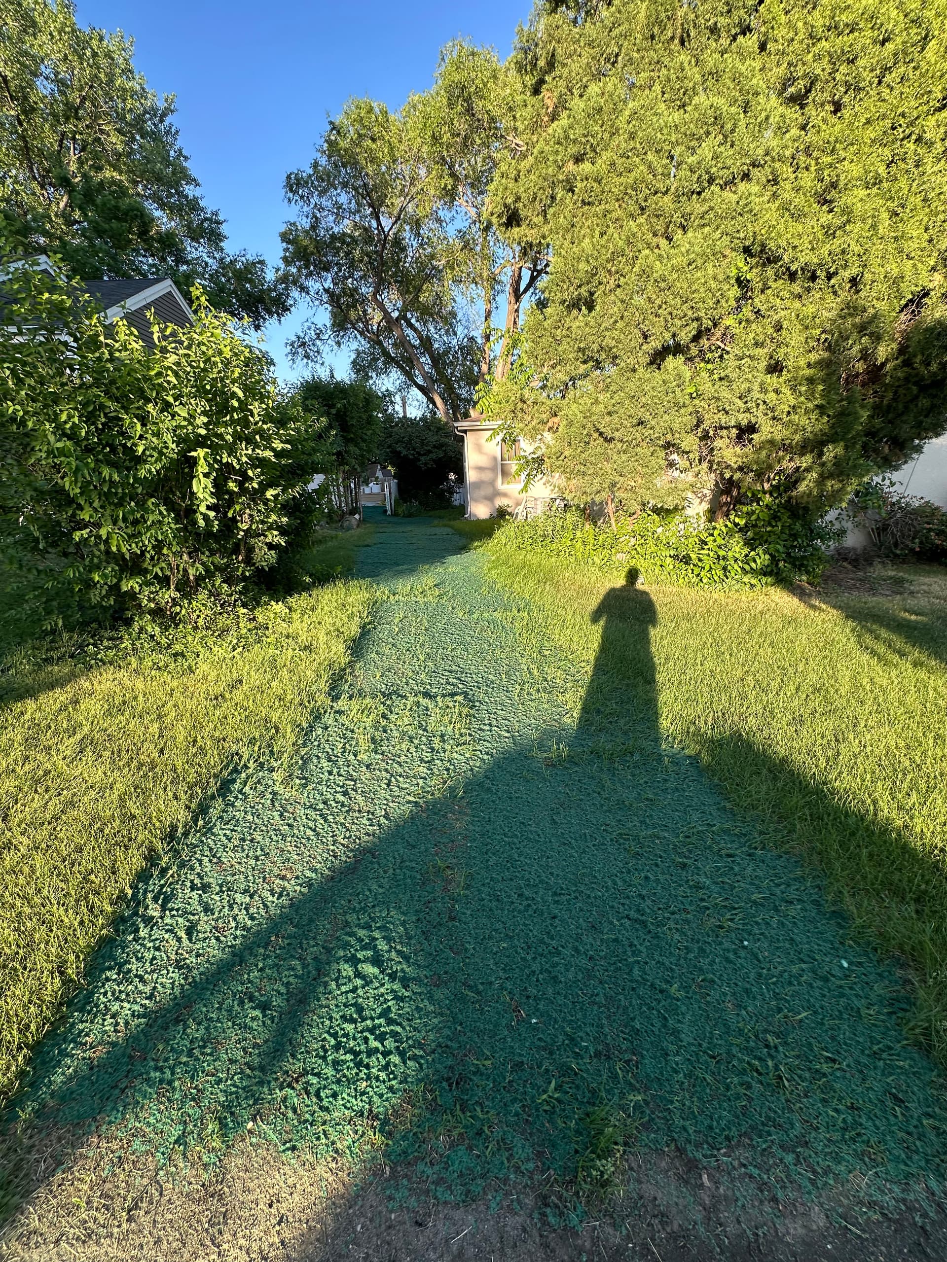 Gallery photos for No Lawn Patch Too Big or Small for Hydroseeding: Image #4