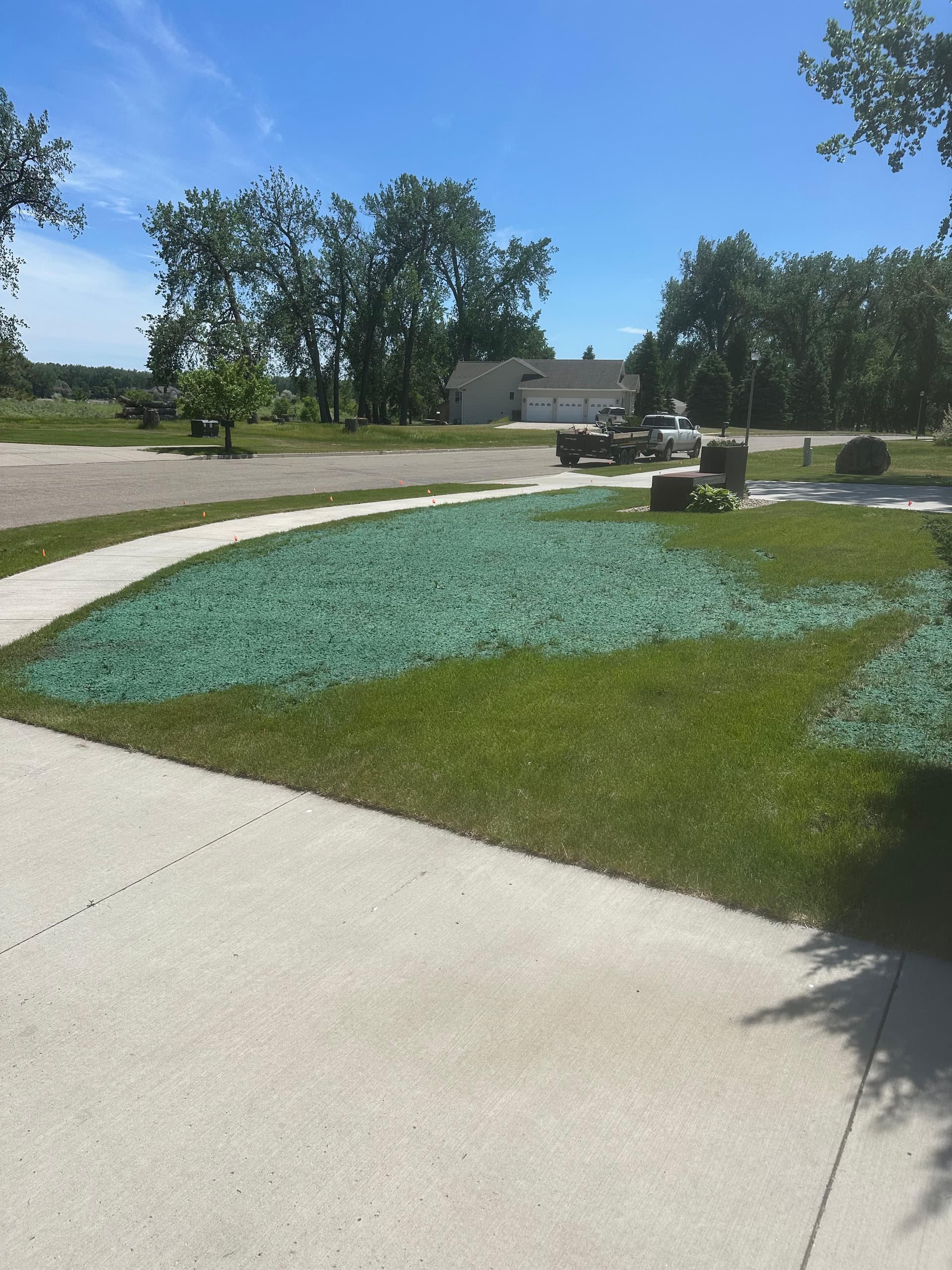 Fixing Thin Dead Lawn Spots with Hydroseeding image