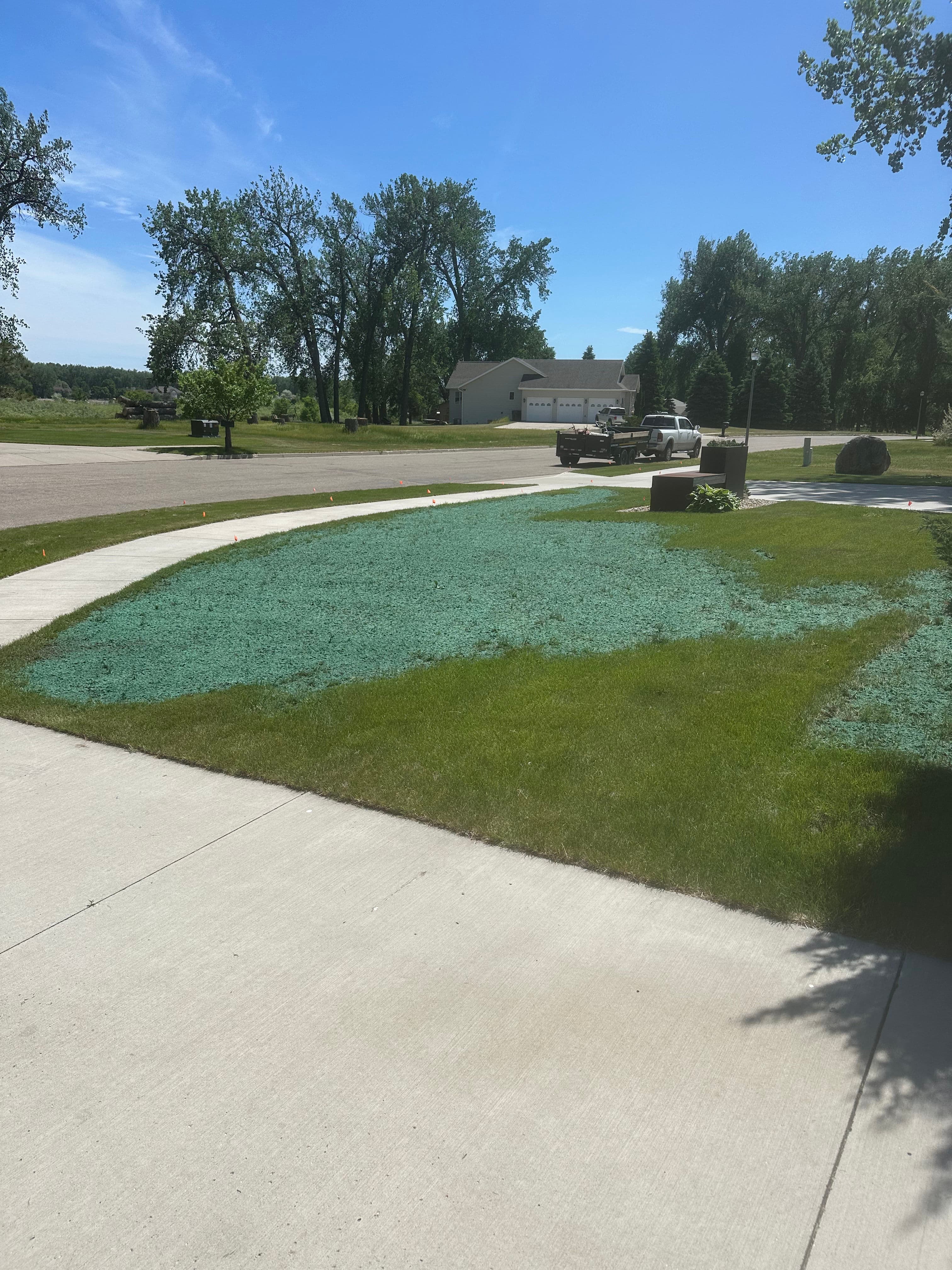 Project Fixing Thin Dead Lawn Spots with Hydroseeding image