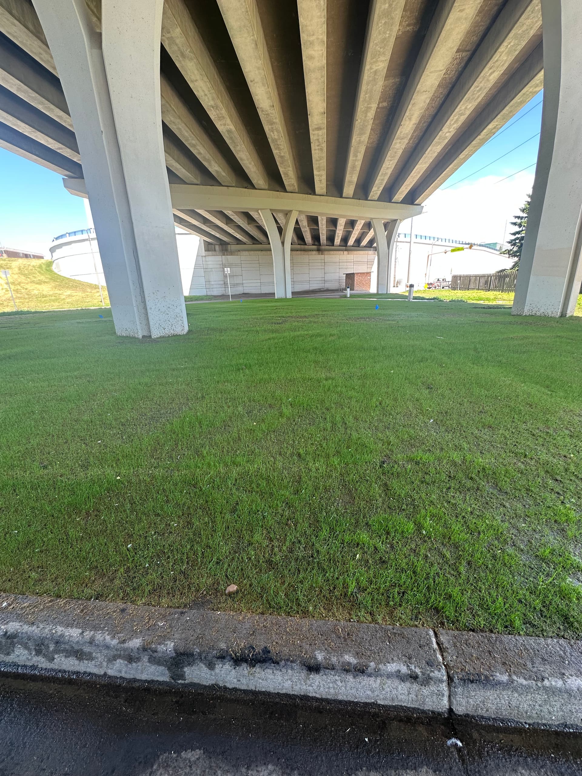 Gallery photos for Hydroseeding Under a Bridge Where Grass Has No Business Growing: Image #3