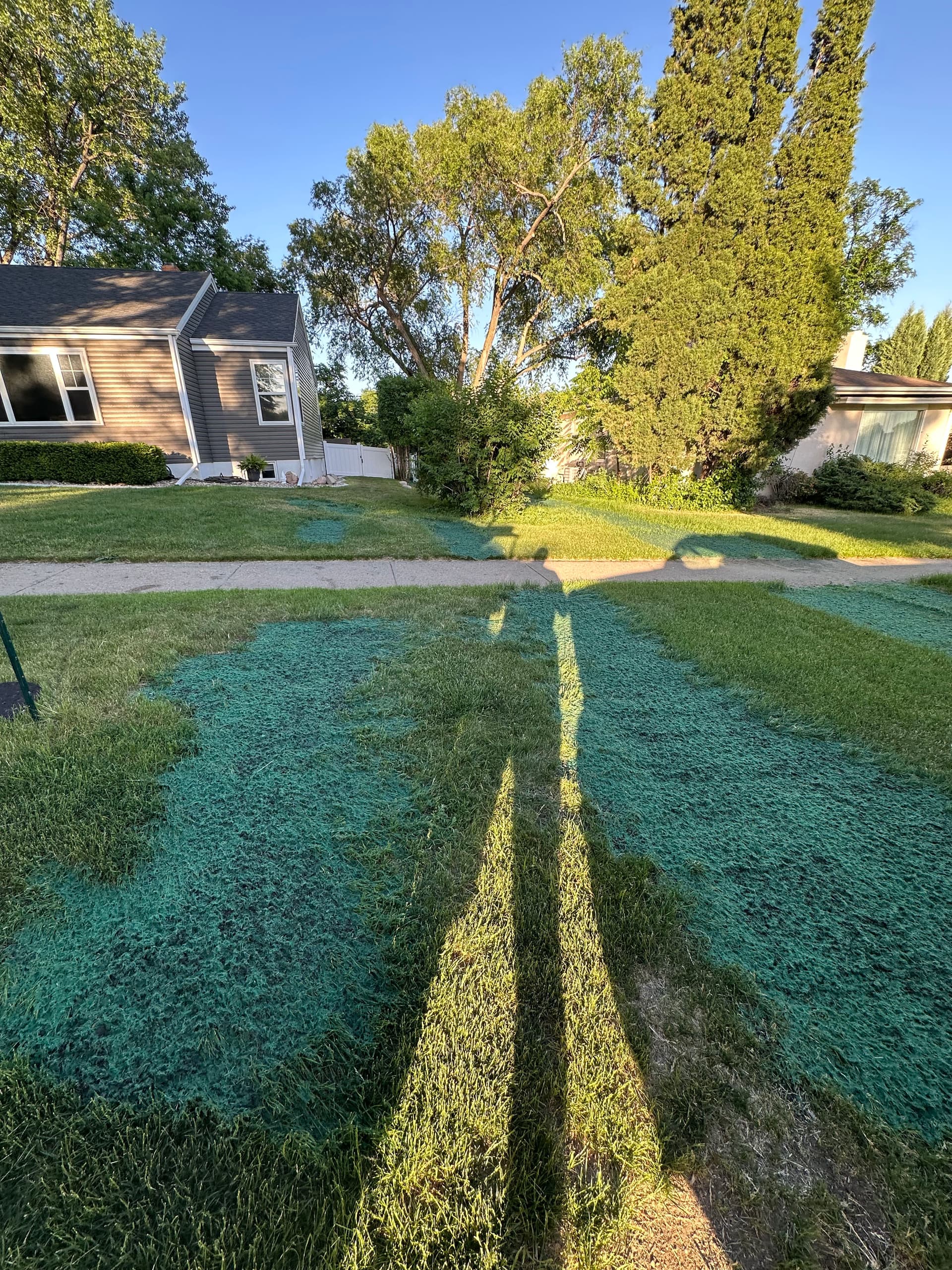 Gallery photos for No Lawn Patch Too Big or Small for Hydroseeding: Image #3