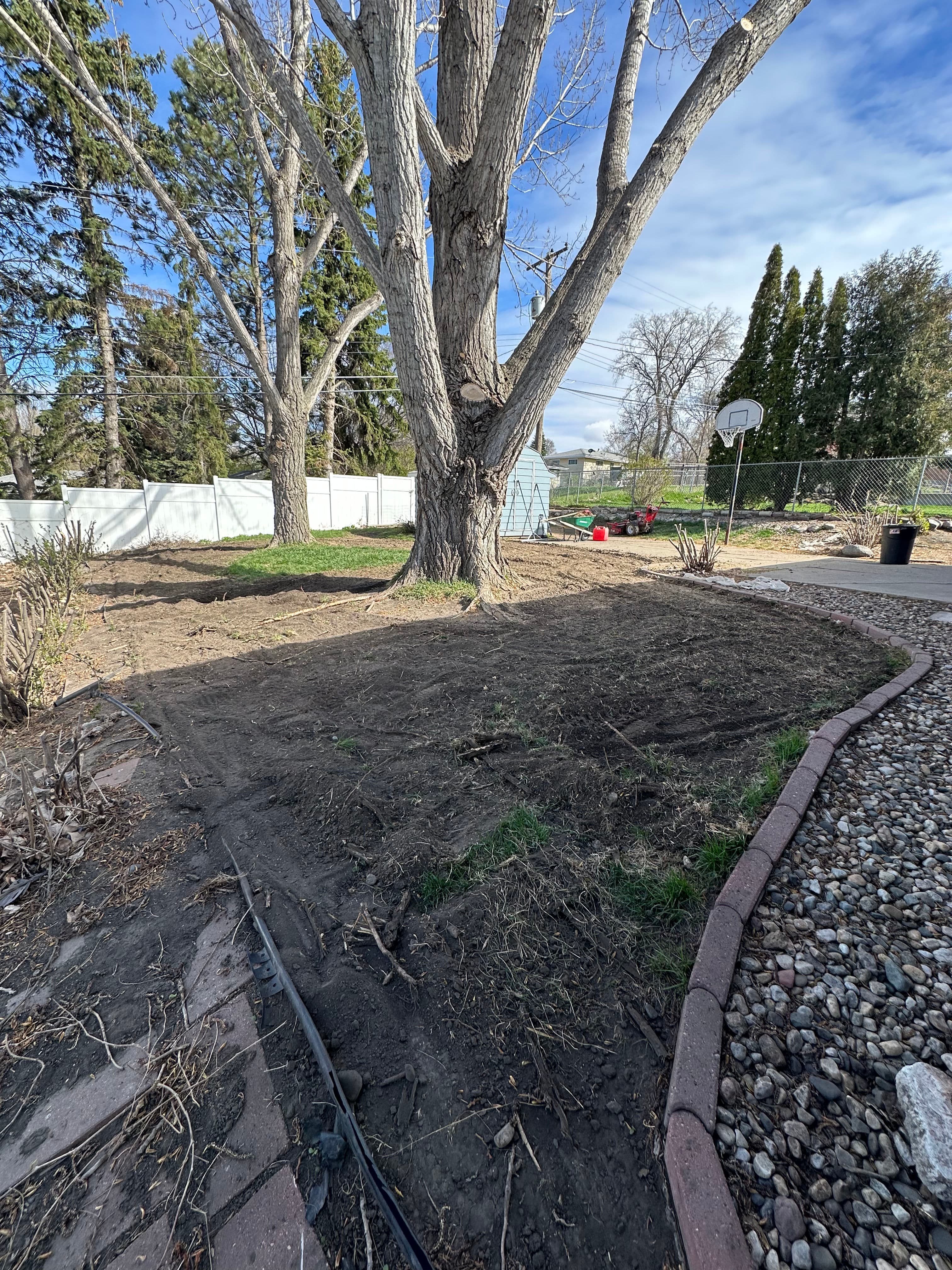 Project Grading, Topsoil, and Hydroseed Fix a Muddy Backyard image