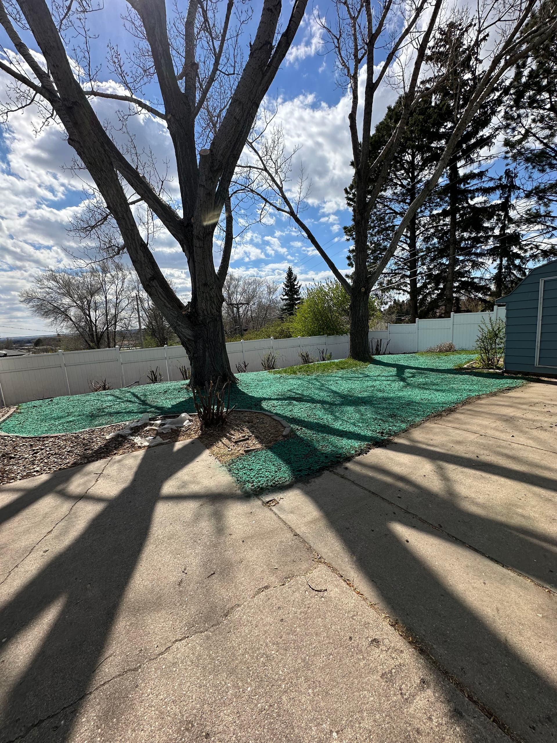 Gallery photos for Grading, Topsoil, and Hydroseed Fix a Muddy Backyard: Image #1