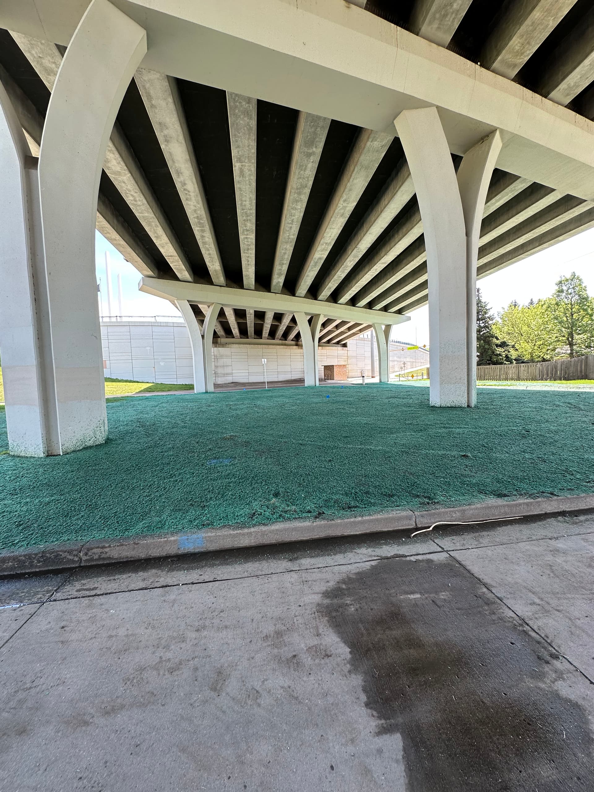 Hydroseeding Under a Bridge Where Grass Has No Business Growing image
