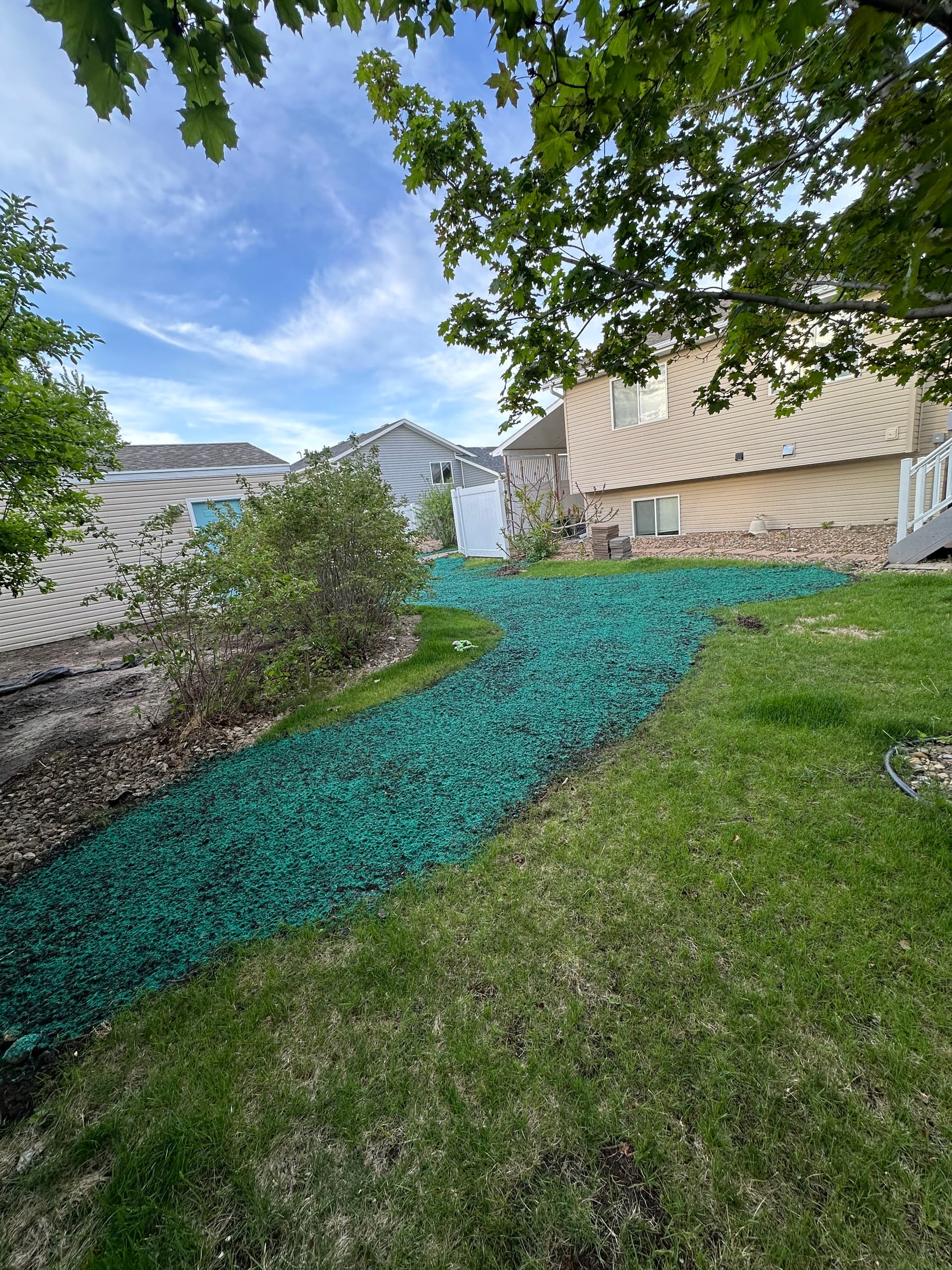Gallery photos for Lawn Restoration After Walkway and Shed Apron Installation: Image #6