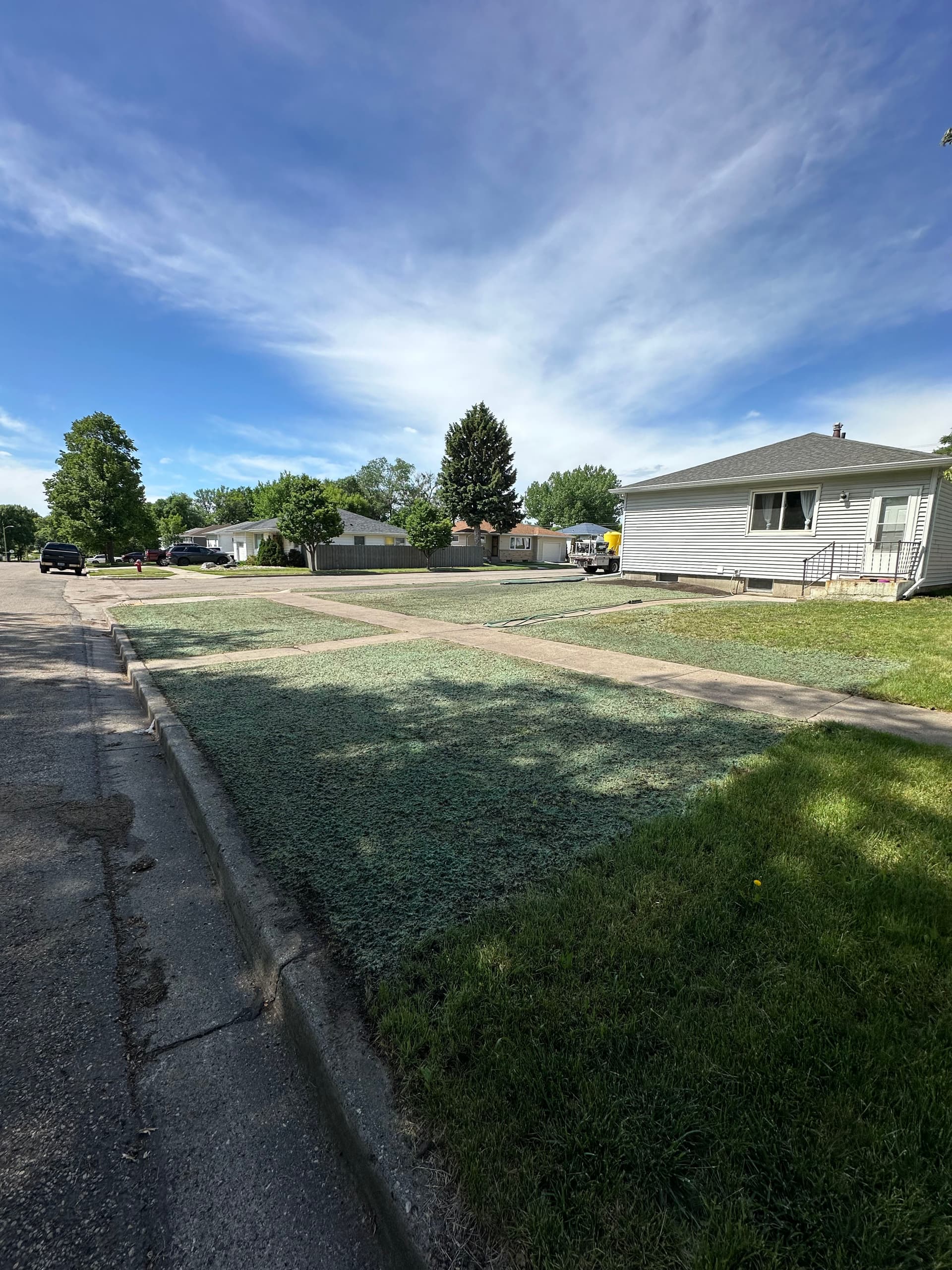 Gallery photos for Hydroseeding Multiple Yards for a Fresh Lawn Restart: Image #2