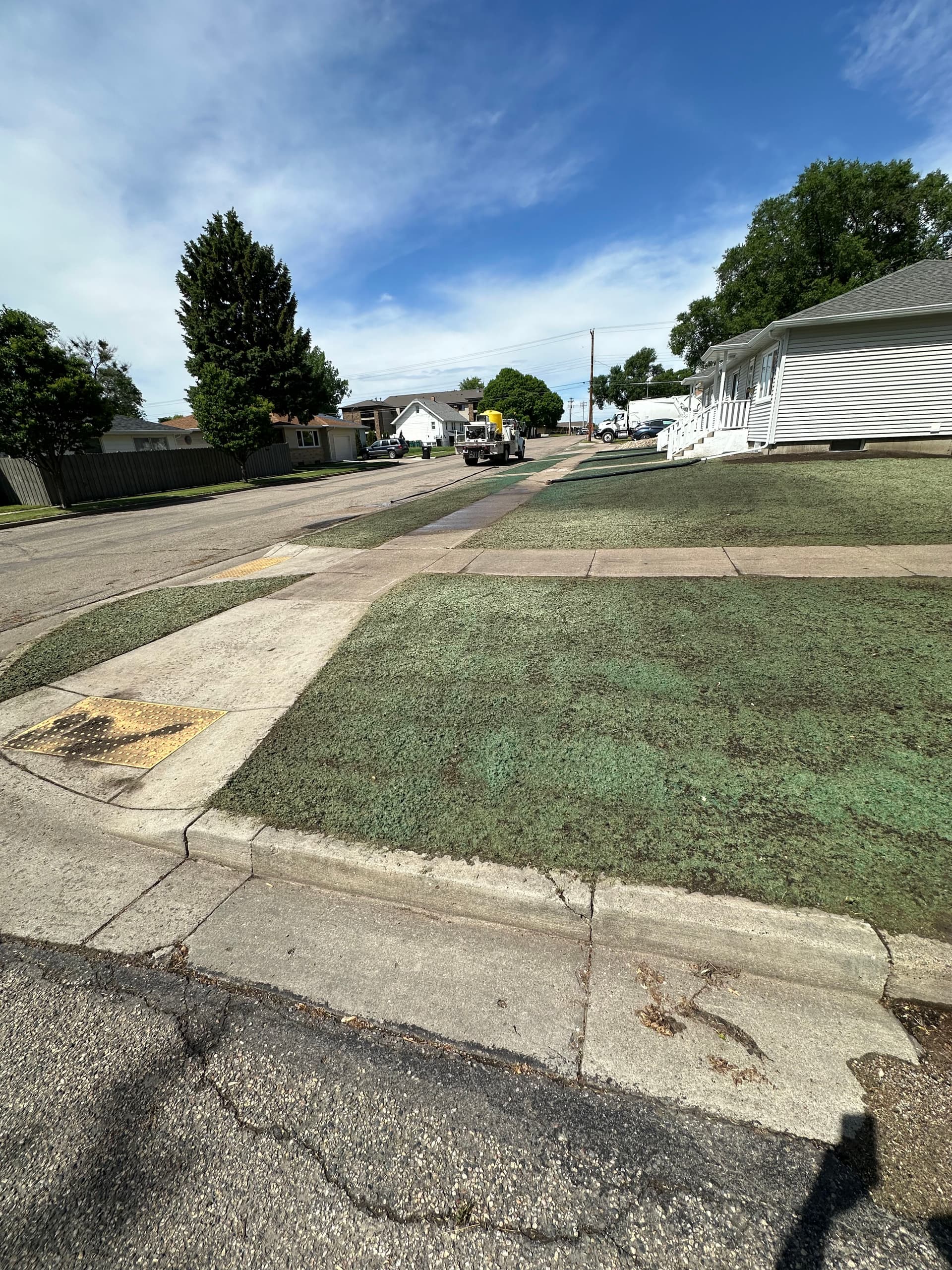 Gallery photos for Hydroseeding Multiple Yards for a Fresh Lawn Restart: Image #1
