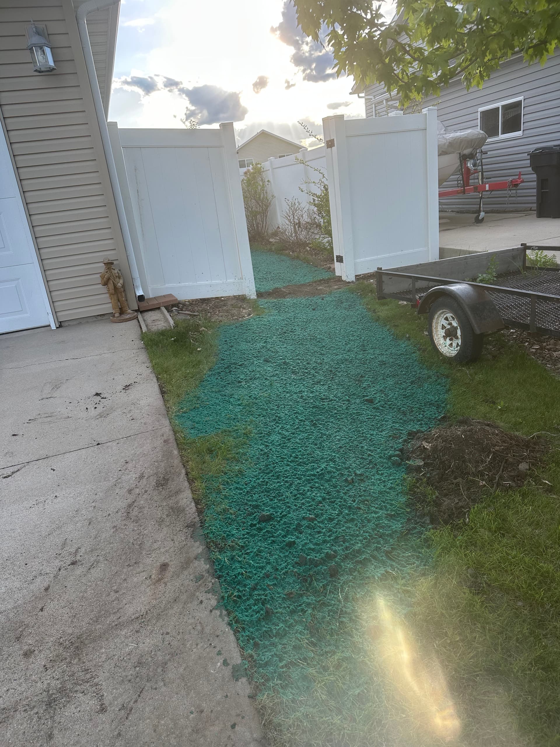 Gallery photos for Lawn Restoration After Walkway and Shed Apron Installation: Image #8