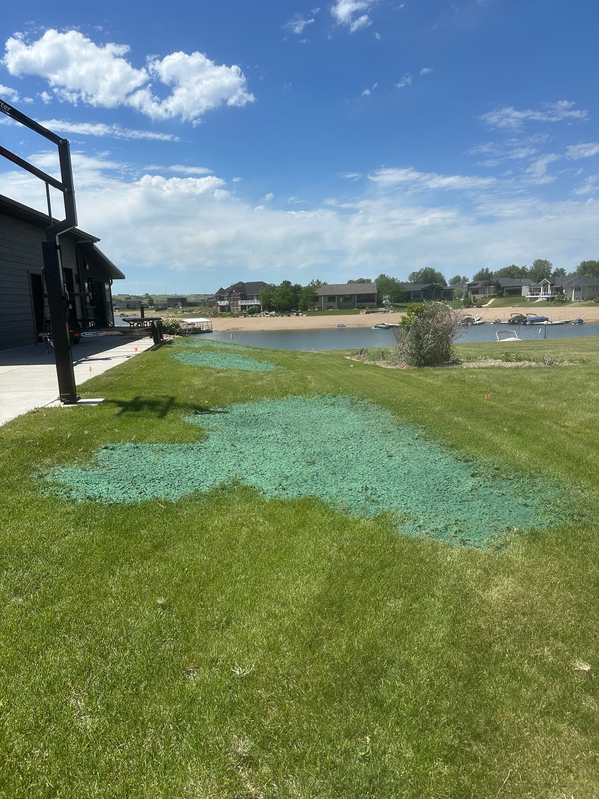 Gallery photos for Fixing Thin Dead Lawn Spots with Hydroseeding: Image #1