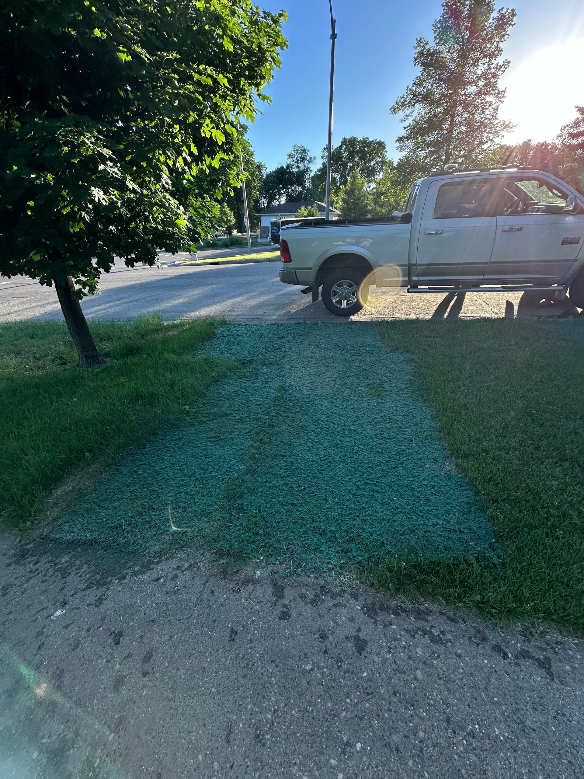 Gallery photos for No Lawn Patch Too Big or Small for Hydroseeding: Image #2
