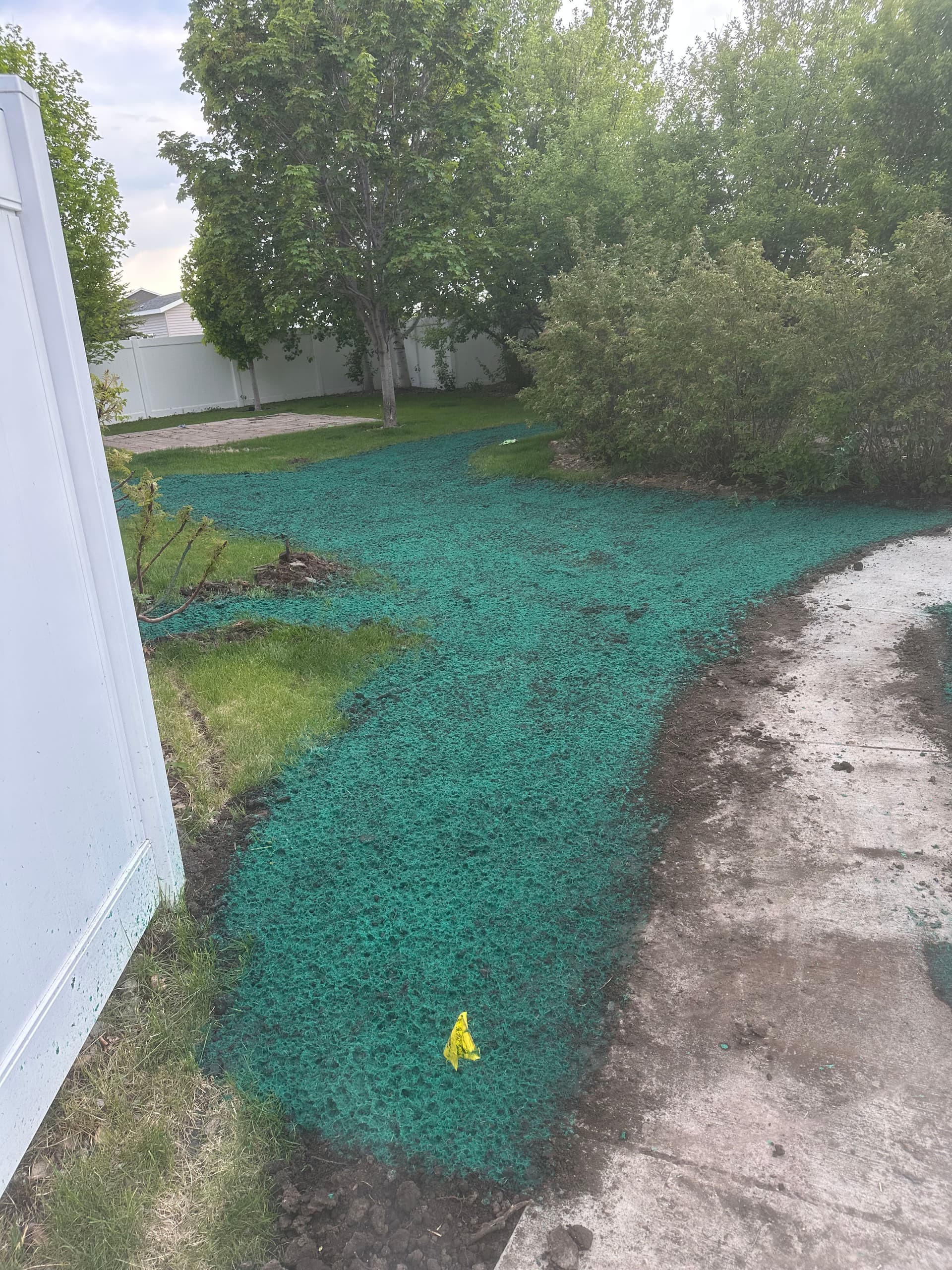 Gallery photos for Lawn Restoration After Walkway and Shed Apron Installation: Image #5