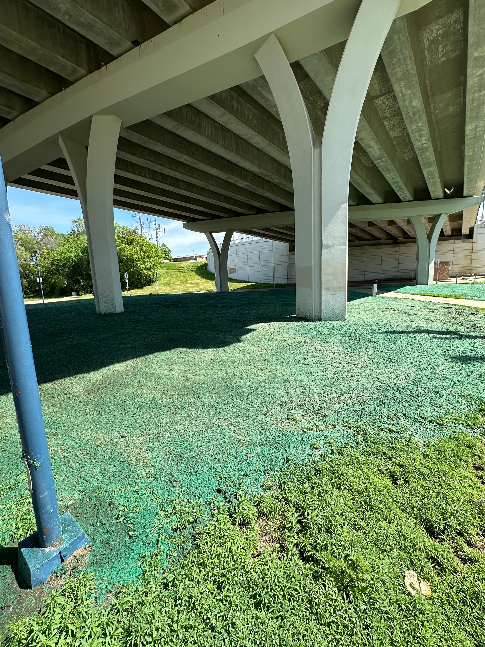 Gallery photos for Hydroseeding Under a Bridge Where Grass Has No Business Growing: Image #2