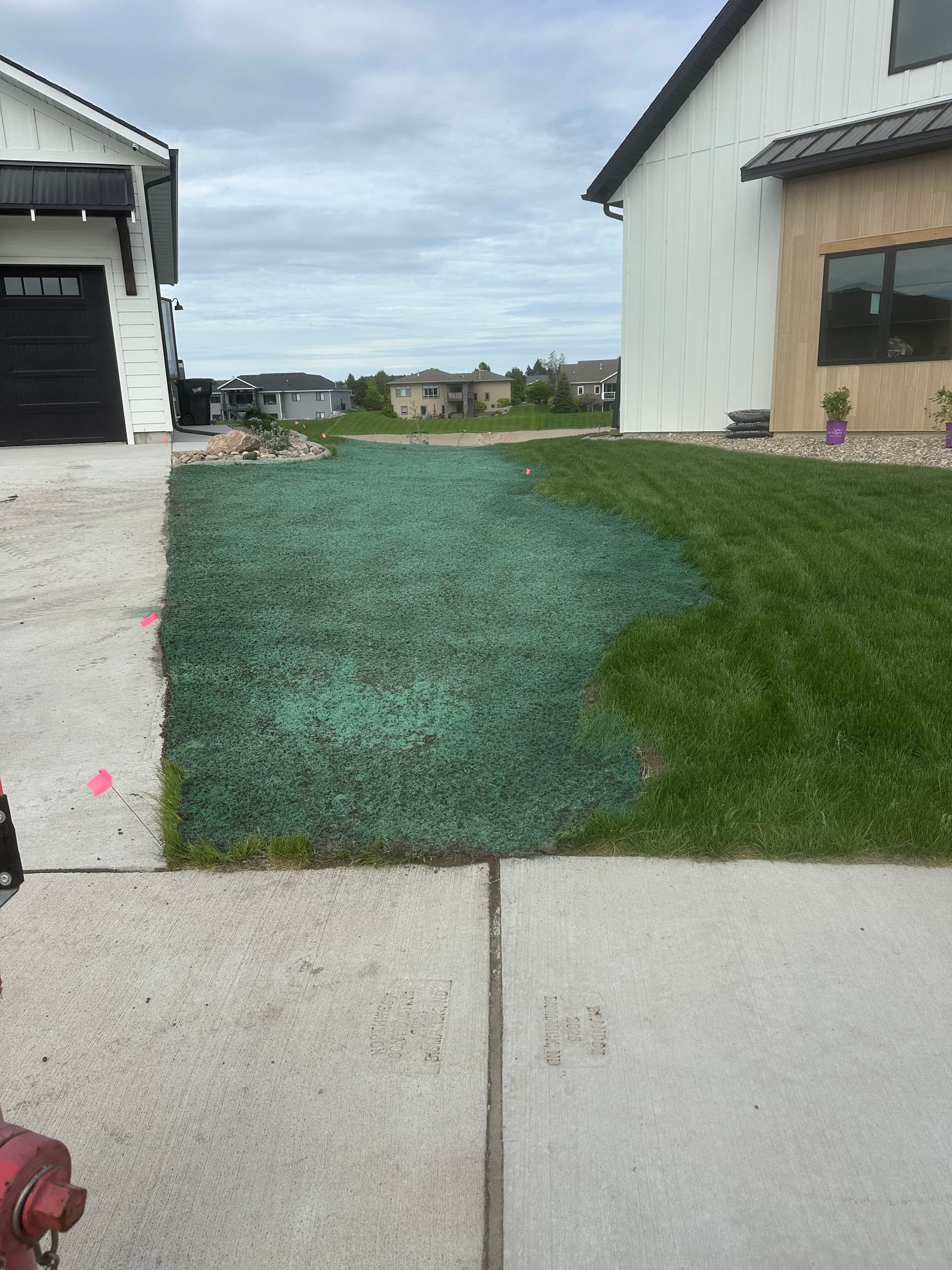 Gallery photos for Lakeside Yard Rebuild with Regrading and Hydroseeding: Image #8