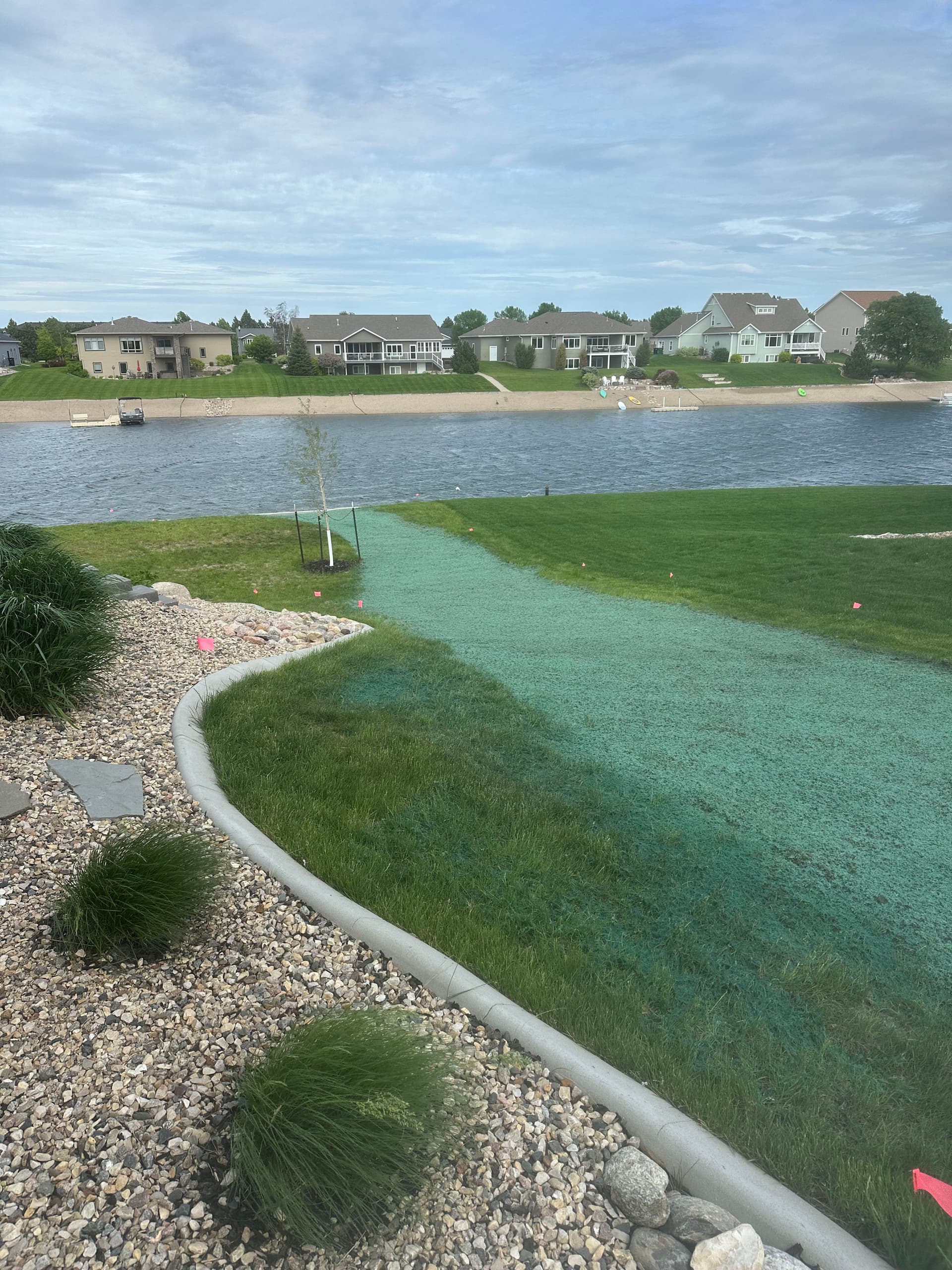 Gallery photos for Lakeside Yard Rebuild with Regrading and Hydroseeding: Image #7